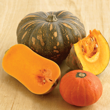types-of-pumpkins1