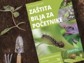 Snežana Ognjenović